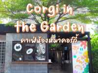 Corgi in the Garden คาเฟ่น้องหมาคอร์กี้