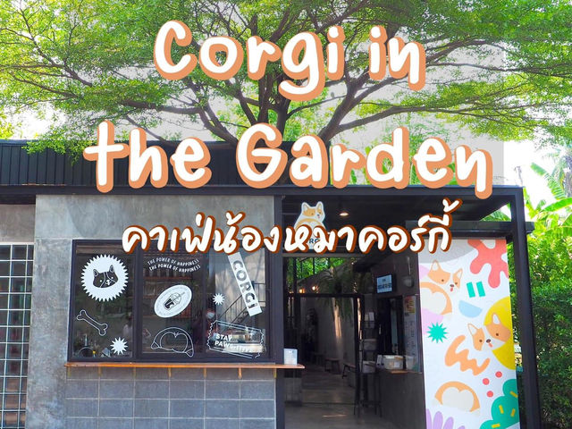Corgi in the Garden คาเฟ่น้องหมาคอร์กี้