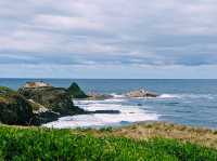 Storm Bay Lookout