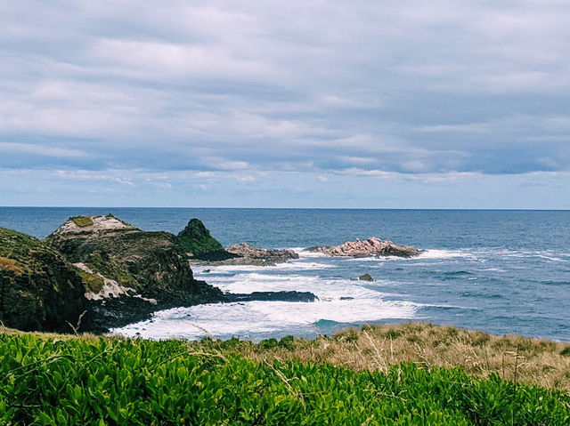 Storm Bay Lookout