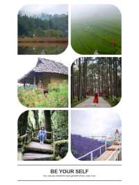 แชร์พิกัดที่เที่ยวที่พักเชียงใหม่หน้าฝน