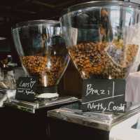 Cross x Roastery - Bangsaen