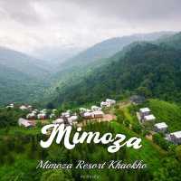 Mimoza Khao Kho
