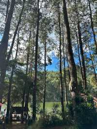 ปางอุ๋ง | สวิตเซอร์แลนด์เมืองไทยในหน้าฝน