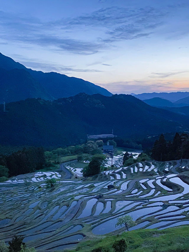 【三重 熊野市】三重の絶景スポット🌿丸山千枚田🌿