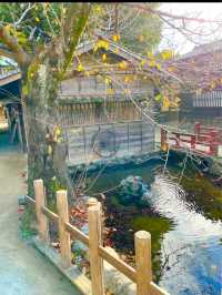 〜京都府〜東映太泰映画村