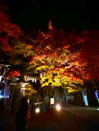 〜神奈川県〜夜景と紅葉両方楽しめるのはここだけ！大山阿夫利神社ライトアップ