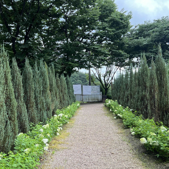 유럽수국이 아름다운 프라이빗한 가든카페🌿