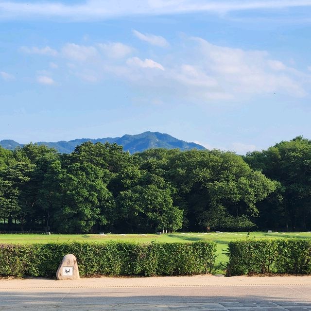 여름의 경주🩵
