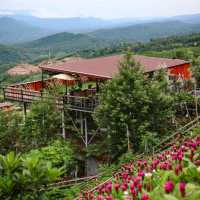 Coffee De haitak & Homestay Phurua