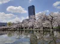 【東京】上野公園🔥：魯迅筆下的緋紅輕雲，享受東京慢生活🏖️🏖️
