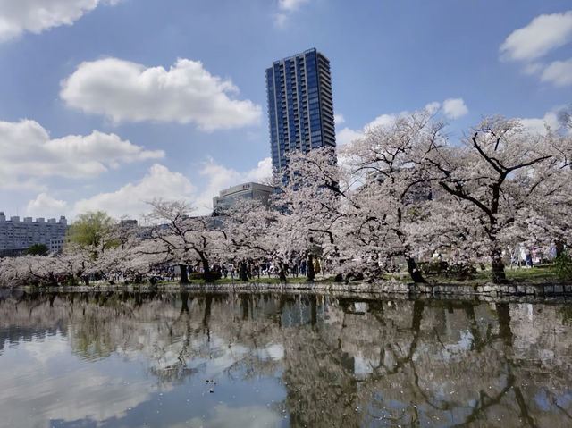 【東京】上野公園🔥：魯迅筆下的緋紅輕雲，享受東京慢生活🏖️🏖️