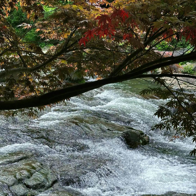 「天野川之滝」：隱秘寶地，快樂時光