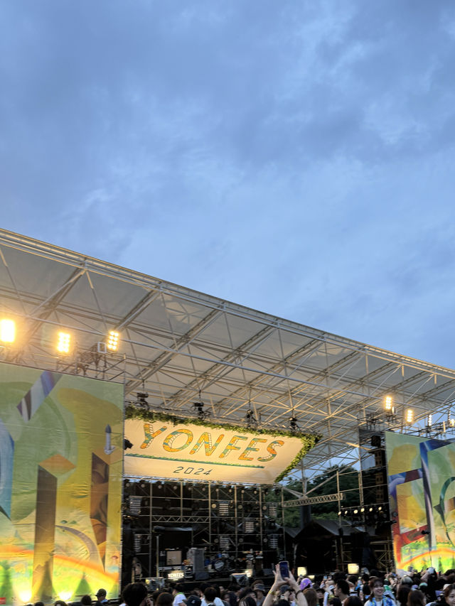 【YON FES】名古屋のFESといえば！