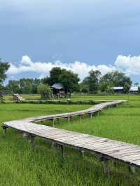 พิกัดลับใบเสมาโบราณ กลางทุ่งนา เต่างอย สกลนคร