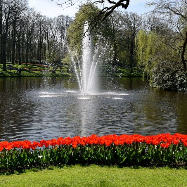 A flower Heaven