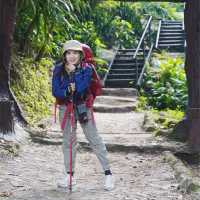 ภูสอยดาว - พิชิตลานสน ชมดอกหงอนนาค