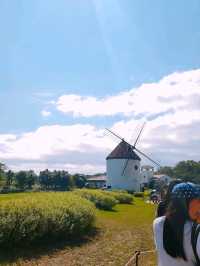제주 여행 필수코스~! 에코랜드 테마파크🏞