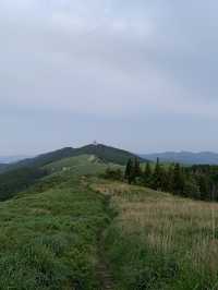 和歌山　絶景フォトスポット！生石高原