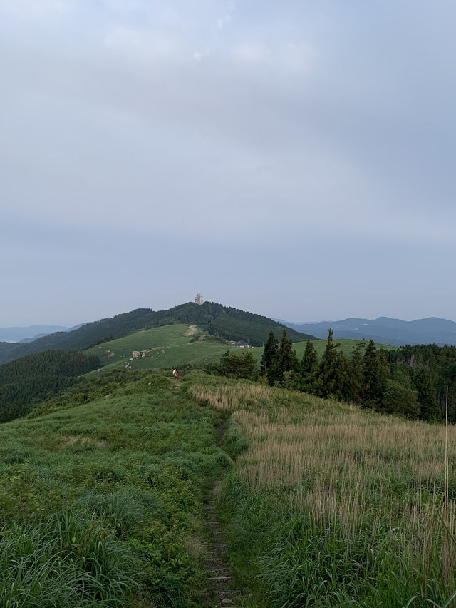 和歌山　絶景フォトスポット！生石高原