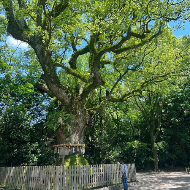 大國主神社⚜️祥和寶地