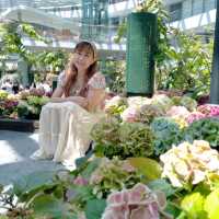 Miracle of Natural Rayong