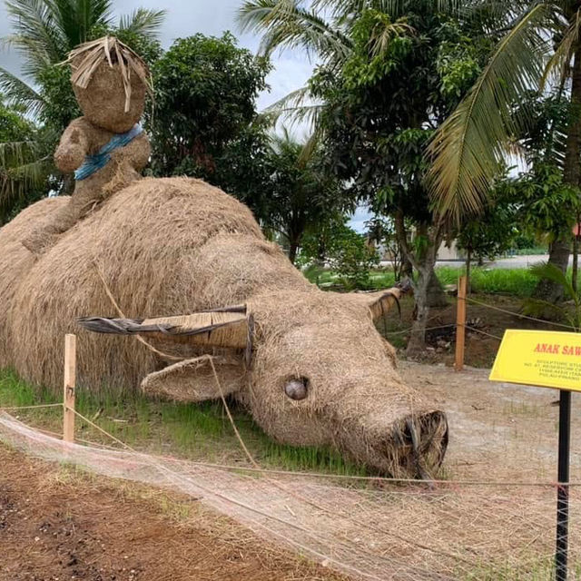 "Exploring the Scenic Beauty of Butterworth's Paddy Fields"