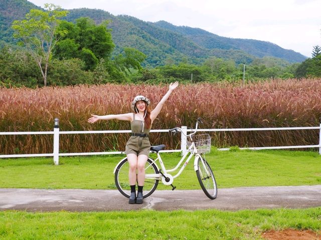 ที่พักแม่วาง จ.เชียงใหม่ ดีต่อใจมาก