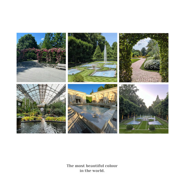 里士滿公園🌳美麗春夏英倫風情
