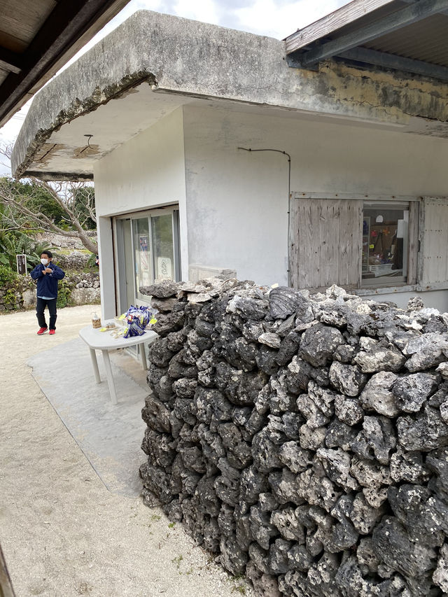 【石垣島】高速船15分で行く離島・竹富島