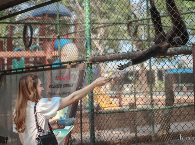รีวิว เที่ยวสวนสัตว์ บึงฉวาก 🐅🦓🦒