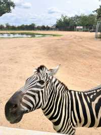 泰國北碧府野生動物園