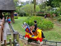 🇲🇾 Royal Joust 📍LEGO Kingdoms, Legoland 🇲🇾
