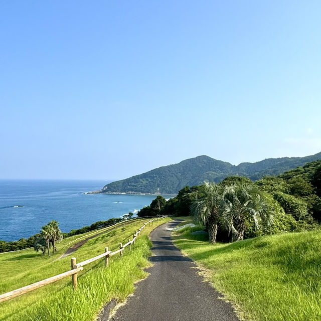 想看海就一定要來 - 宮崎日南太陽花園
