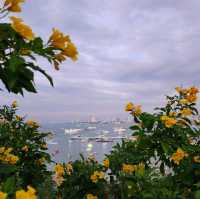จุดชมวิวเมืองพัทยา แหลมบาลีฮาย
