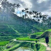 Relaxation and Rejuvenation in Bali’s Ubud