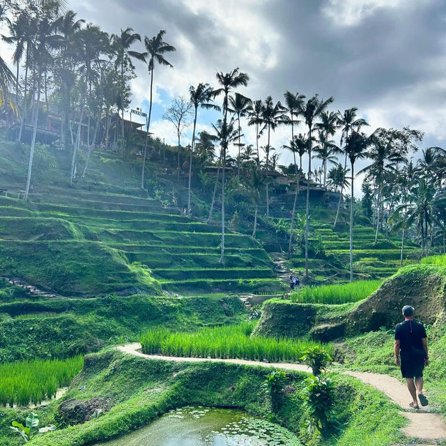 Relaxation and Rejuvenation in Bali’s Ubud