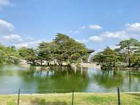 Explore a symbol of Korean history: Gyeongbokgung Palace.