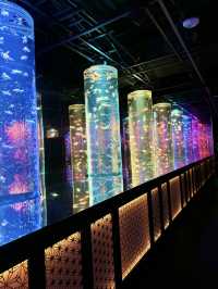 金魚のアートアクアリウム in銀座°･🐟