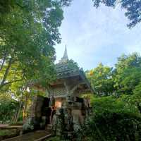ป่าในเมือง ณ เขากระโดง บุรีรัมย์