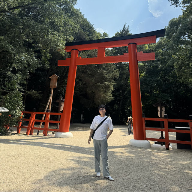 🇯🇵下鴨神社必訪的抹茶冰🍵✨夏天需要它呀🫶🏻