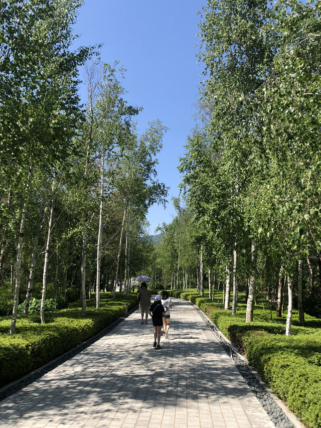 하늘, 나무, 예술🌳 완벽한 3박자 데이트코스 뮤지엄 산