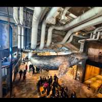 Monterey bay aquarium 