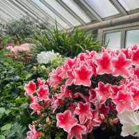 ～牛津大學哈考特植物園～增長植物知識好去處～