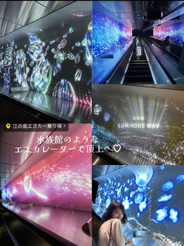 〜神奈川県江ノ島〜爽やかな湘南・江ノ島観光半日プラン　お得情報も♡