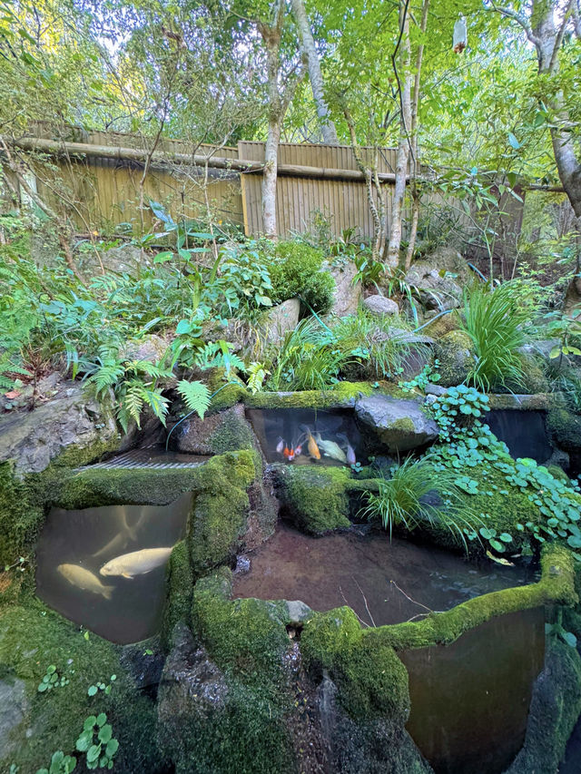 まるで絵本の中の世界🥹🌿森の中にある素敵なカフェ☕️【東京・あきる野市】