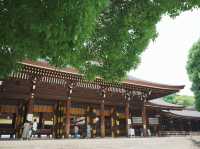 【東京観光】東京の都会に広がる癒しの森！明治神宮を御参拝⛩️