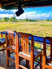 A CAFE ESCAPE IN THE COUNTRYSIDE OF HOI AN