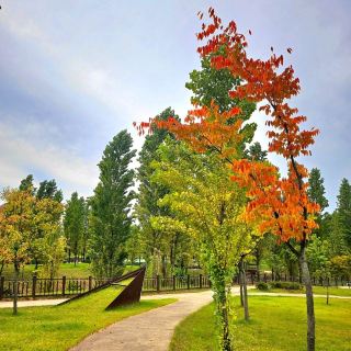 The park beautifully tinted with autumn colors.