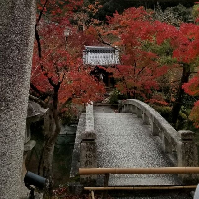 【京都】地下鉄蹴上駅から行く紅葉の名所「南禅寺」